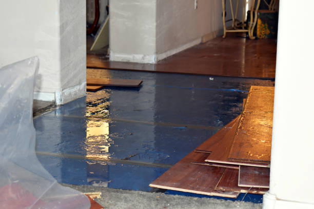 Professional Water Damage Repair technician working in Russells Point, OH